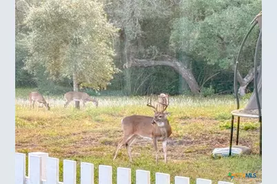 725 Private Road 1581, Hallettsville, TX 77964 - Photo 28