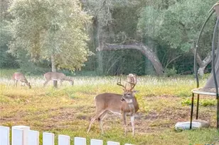 725 Private Rd 1581, Hallettsville, TX 77964 - Photo 28