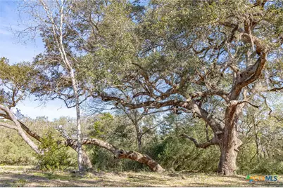 725 Private Road 1581, Hallettsville, TX 77964 - Photo 20