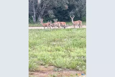 725 Private Road 1581, Hallettsville, TX 77964 - Photo 28
