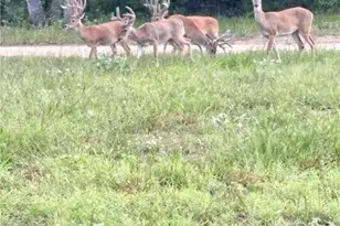 725 Private Rd 1581, Hallettsville, TX 77964 - Photo 28