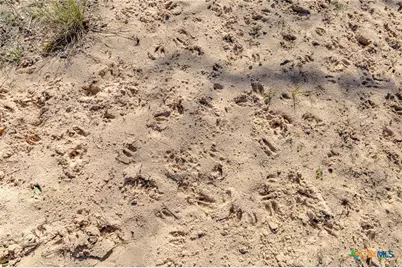 725 Private Road 1581, Hallettsville, TX 77964 - Photo 32