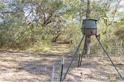 725 Private Road 1581, Hallettsville, TX 77964 - Photo 38