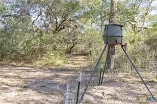 725 Private Rd 1581, Hallettsville, TX 77964 - Photo 38