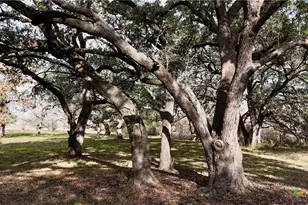 Tbd Cr 405, Flatonia, TX 78941 - Photo 42