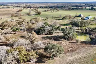 Tbd Cr 405, Flatonia, TX 78941 - Photo 48