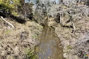 Tbd Cr 405, Flatonia, TX 78941 - Photo 4