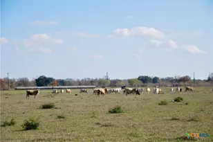 Tbd Cr 405, Flatonia, TX 78941 - Photo 26