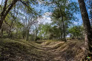 3638 Fm 2579, Floresville, TX 78114 - Photo 10