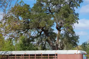 3638 Fm 2579, Floresville, TX 78114 - Photo 12