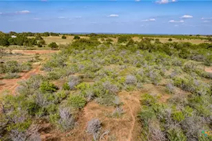 3638 Fm 2579, Floresville, TX 78114 - Photo 14