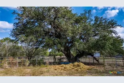 3638 Fm 2579, Floresville, TX 78114 - Photo 8