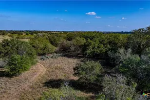 3638 Fm 2579, Floresville, TX 78114 - Photo 6