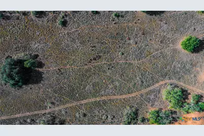 3638 Fm 2579, Floresville, TX 78114 - Photo 16