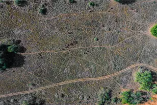 3638 Fm 2579, Floresville, TX 78114 - Photo 16