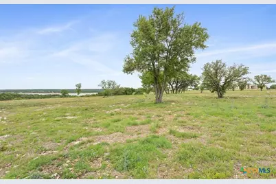 10134 Sweet Lilly Trail, Temple, TX 76557 - Photo 8