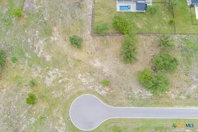 10124 Sweet Lilly Trail, Temple, TX 76557 - Photo 4