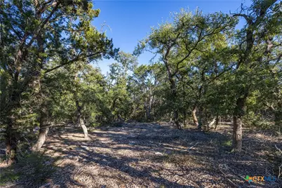 130 Panorama Drive, Wimberley, TX 78676 - Photo 2