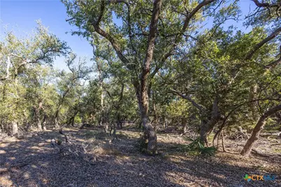 130 Panorama Drive, Wimberley, TX 78676 - Photo 6