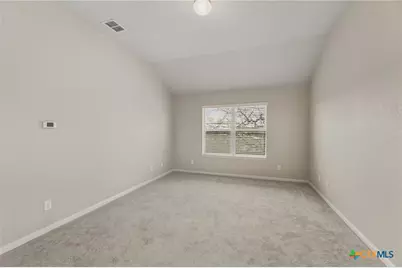 253 Flushing, New Braunfels, TX 78130 - Photo 20