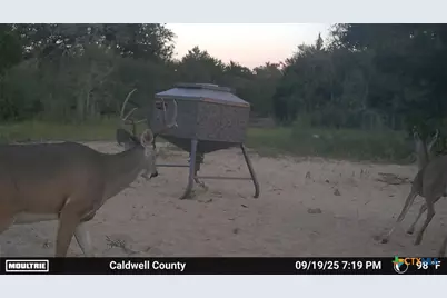 555 Altamira Lane, Dale, TX 78616 - Photo 40