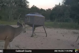 555 Altamira Ln, Dale, TX 78616 - Photo 40