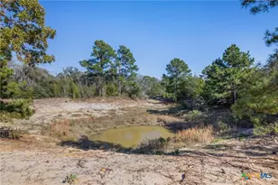 555 Altamira Ln, Dale, TX 78616 - Photo 2