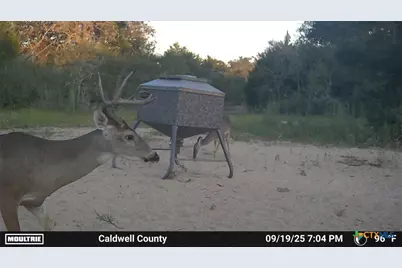 555 Altamira Lane, Dale, TX 78616 - Photo 38