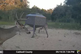 555 Altamira Ln, Dale, TX 78616 - Photo 38