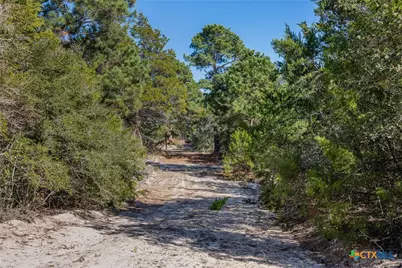 555 Altamira Lane, Dale, TX 78616 - Photo 18