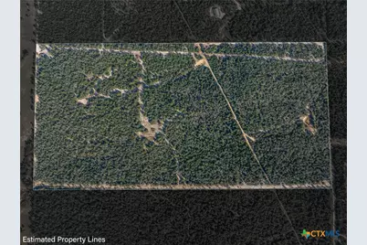 555 Altamira Lane, Dale, TX 78616 - Photo 10