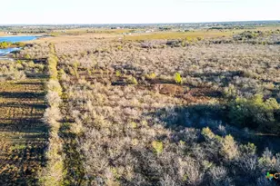 3191 Co Rd 463, Elgin, TX 78621 - Photo 14