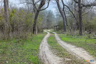1144 Treetop Lane, Luling, TX 78648 - Photo 16
