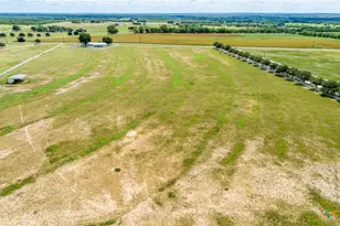 404 Annies Ln, La Vernia, TX 78121 - Photo 4