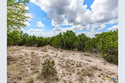 331 Ridge Point, Spring Branch, TX 78070 - Photo 8