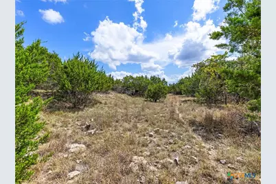 331 Ridge Point, Spring Branch, TX 78070 - Photo 10