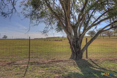 139 Angel Lane, Seguin, TX 78155 - Photo 44