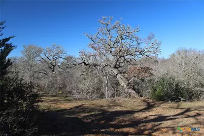 1223 County Road 429, Dime Box, TX 77853 - Photo 6