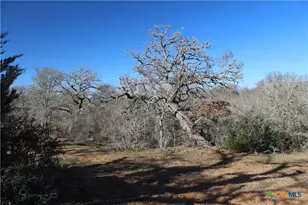 1223 Co Rd 429, Dime Box, TX 77853 - Photo 6