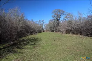 1223 Co Rd 429, Dime Box, TX 77853 - Photo 2