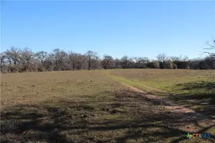 1223 Co Rd 429, Dime Box, TX 77853 - Photo 4