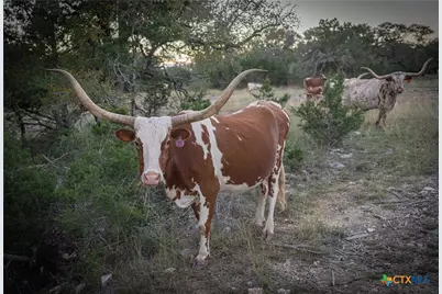 905 Hugo Road, San Marcos, TX 78666 - Photo 22