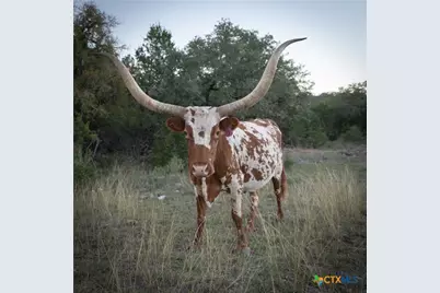 905 Hugo Road, San Marcos, TX 78666 - Photo 10