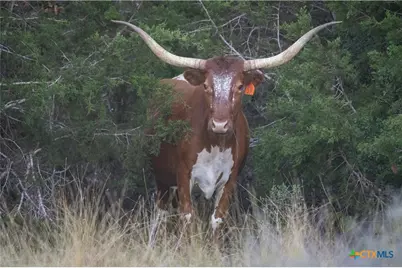 905 Hugo Road, San Marcos, TX 78666 - Photo 8