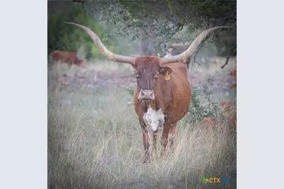 905 Hugo Road, San Marcos, TX 78666 - Photo 16