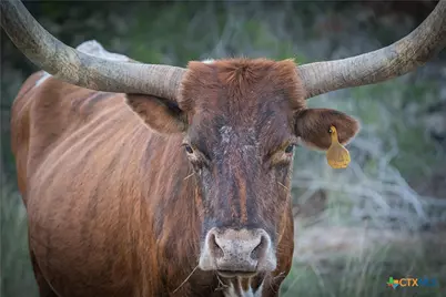 905 Hugo Road, San Marcos, TX 78666 - Photo 6