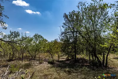 Tbd Lot 4 Track Road, Dale, TX 78616 - Photo 10