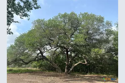 1776 Fm 1351, Goliad, TX 77963 - Photo 2
