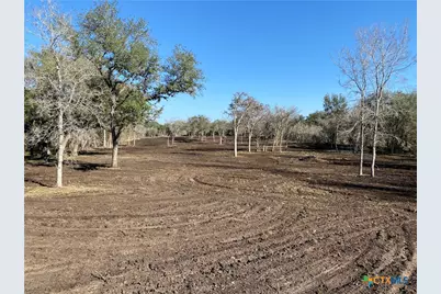 1776 Fm 1351, Goliad, TX 77963 - Photo 6