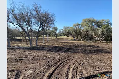 1776 Fm 1351, Goliad, TX 77963 - Photo 4